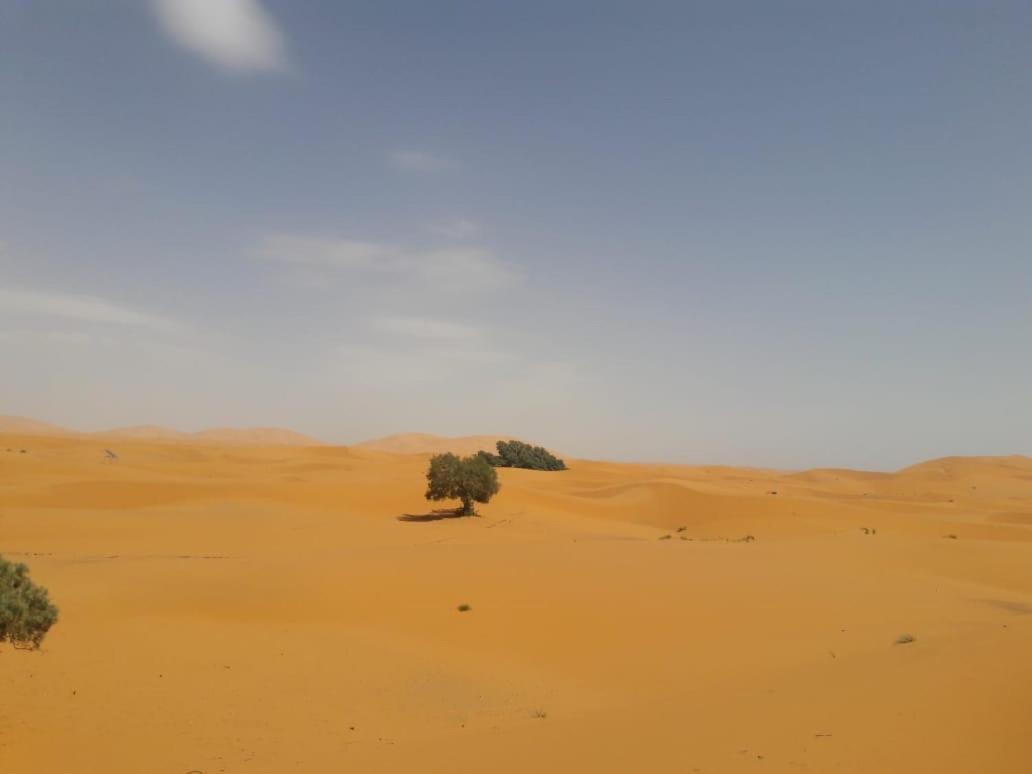 Riad Sephora تنغير المظهر الخارجي الصورة